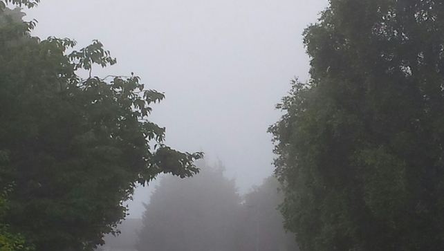 Sea fog is forecast along areas of the east coast today Sea fog is forecast along areas of the east coast today