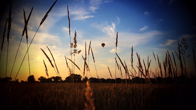 Aidan Murphy submitted this photo of hot air ballooning in Co Meath