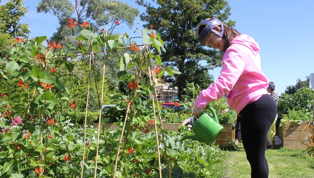 A group of adults with an intellectual disability are using public allotments to reach out to their local community A group of adults with an intellectual disability are using public allotments to reach out to their local community