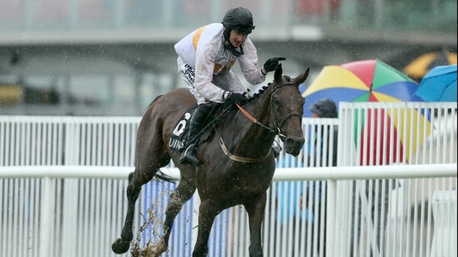 Dessie Hughes' Golden Wonder prevailed in testing conditions at last year's Galway Festival