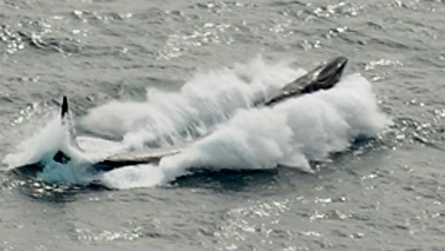 Corporal Declan Parke captured this images of the breaching mammal while on an inspection pass of a tuna fishing vessel Corporal Declan Parke captured this images of the breaching mammal while on an inspection pass of a tuna fishing vessel