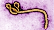 Ebola - Dr. Kevin Kelleher