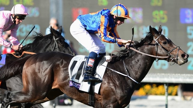 Magician has received an entry for the Cox Plate but is almost certain to return to Santa Anita to defend his title in the Breeders' Cup Turf