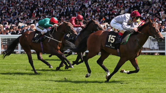 Wow Signal will miss the Keeneland Phoenix Stakes