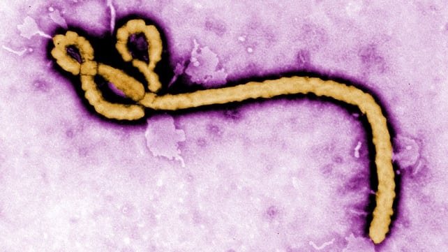 The world's worst outbreak of Ebola has killed nearly 1,000 people in West Africa The world's worst outbreak of Ebola has killed nearly 1,000 people in West Africa