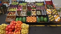 Russia bans EU and US food imports Russia bans EU and US food imports