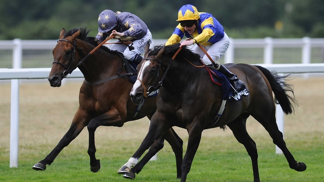 Charles Camoin may go in the Dubai Duty Free Shergar Cup Challenge
