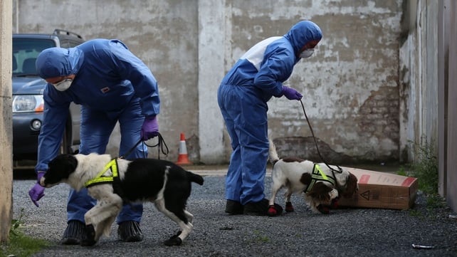 Police with victim recovery dogs in Hanover Street, Portadown, earlier this week Police with victim recovery dogs in Hanover Street, Portadown, earlier this week
