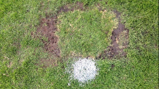 Bohs have defended the Dalymount surface