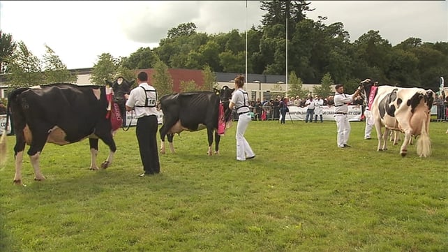 The Prize was won by a nine-year-old Holstein Friesian Cow name Lulu The Prize was won by a nine-year-old Holstein Friesian Cow name Lulu