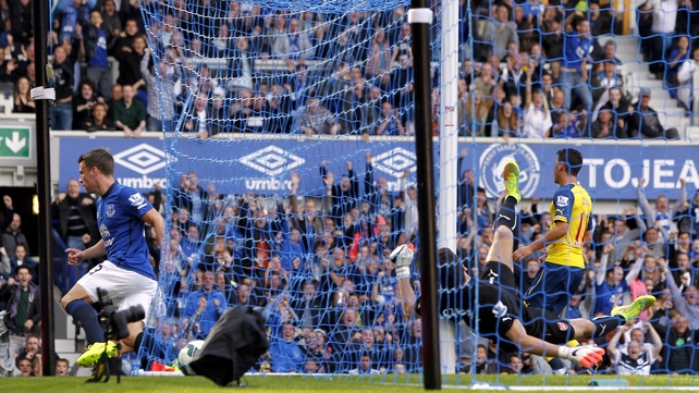 Ireland's Seamus Coleman opened the scoring with a header in the 19th minute