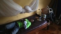 WHO shuts laboratory in Sierra Leone over Ebola WHO shuts laboratory in Sierra Leone over Ebola