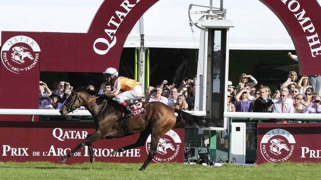 Danedream completed the Grosser Preis Von Baden-Prix de l'Arc de Triomphe double in in 2011
