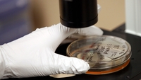 Work of scientists opened up in Discover Research Work of scientists opened up in Discover Research