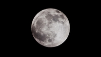 Magma may have made Man in the Moon Magma may have made Man in the Moon
