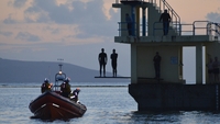 Galway swimmers escape unwanted dolphin attention Galway swimmers escape unwanted dolphin attention