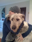 Pet Bereavement