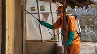 Ebola vaccine to be rolled out by middle of 2015 Ebola vaccine to be rolled out by middle of 2015