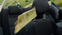 Image shows lucky escape for Lisburn driver Image shows lucky escape for Lisburn driver