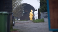 Bird flu detected on three more Dutch farms Bird flu detected on three more Dutch farms