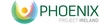 Mortgage Debt - The Phoenix Project