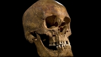 Richard III 'illegitimacy' link Richard III 'illegitimacy' link