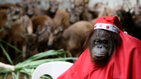 Images of the Day Images of the Day