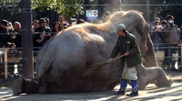 Images of the Day Images of the Day