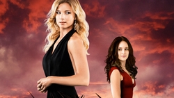 Revenge: 'a complete reality buffer'