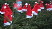 Brunei bans Christmas celebrations Brunei bans Christmas celebrations