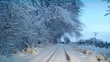 Status Red weather warning in place