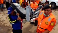 AirAsia plane climbed too fast, says minister AirAsia plane climbed too fast, says minister