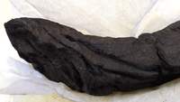 X-rays unlock secrets of charred scrolls X-rays unlock secrets of charred scrolls