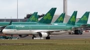 Willie Walsh described IAG's airlines as different to each other said that is why IAG wants to acquire Aer Lingus