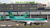 Aer Lingus shares fall after report bid will fail Aer Lingus shares fall after report bid will fail