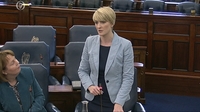 Seanad passes adoption rights bill Seanad passes adoption rights bill