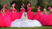 UK Travellers lose 'Big Fat Gypsy Wedding' case UK Travellers lose 'Big Fat Gypsy Wedding' case