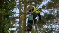 One News Web: ESB to recruit 300 apprentices One News Web: ESB to recruit 300 apprentices