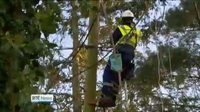 Six One News Web: ESB to recruit 300 apprentices over the next five years Six One News Web: ESB to recruit 300 apprentices over the next five years