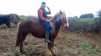Teen dies after fall from horse into river in Cork Teen dies after fall from horse into river in Cork