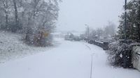 Icy conditions forecast overnight and tomorrow Icy conditions forecast overnight and tomorrow