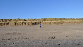 A stroll on Mornington Beach, Co Meath (Pic: Emma Berigan)