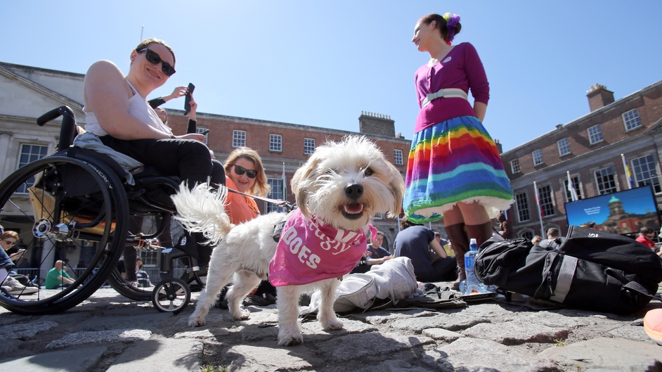 Supporters of same-sex marriage wait for the announcement of the referendum in Dublin castle