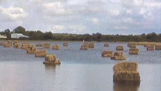 Flooded fields in South Roscommon (1985)