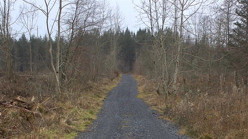 Delays have held up the proposed project in Athenry Delays have held up the proposed project in Athenry