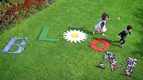 Bloom 2020 is moving online with a colourful competition Bloom 2020 is moving online with a colourful competition