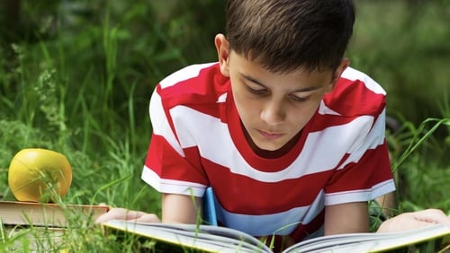 Stuggling with Gaeilge lessons at home? Stuggling with Gaeilge lessons at home?
