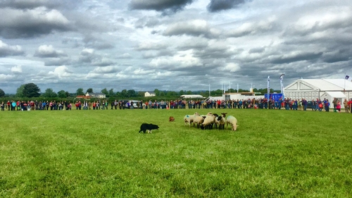 Open Eir will provide connectivity to the 280,000 attendees at this year's National Ploughing Championships Open Eir will provide connectivity to the 280,000 attendees at this year's National Ploughing Championships