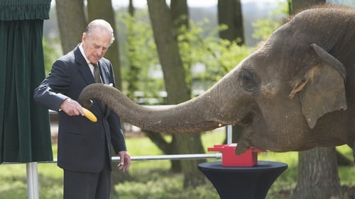Royal Shocker! Prince Philip Retires