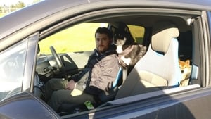 One man, Stephen Welstead, and his dog, Ryuu, on their electric journey. One man, Stephen Welstead, and his dog, Ryuu, on their electric journey.